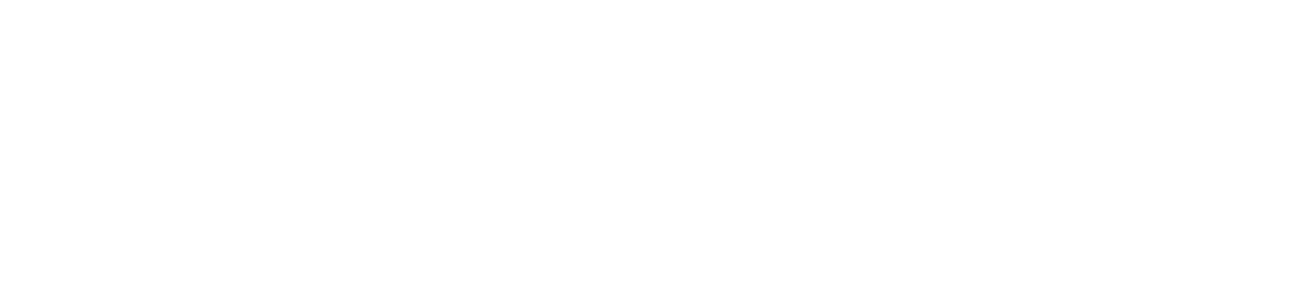 On-e Fin usługi księgowe ubezpieczenia obsługa prawna księgowość dla medyków księgowość dla sektora prywatnego logo białe horizontal transparent
